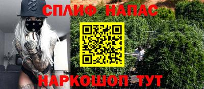 СК Будённовск