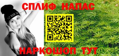 СК Будённовск