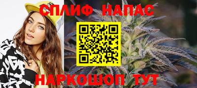 СК Будённовск