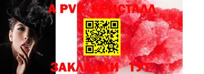 СК Будённовск